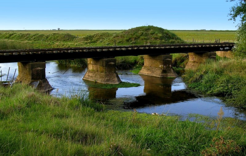 EL TREN CRUZABA