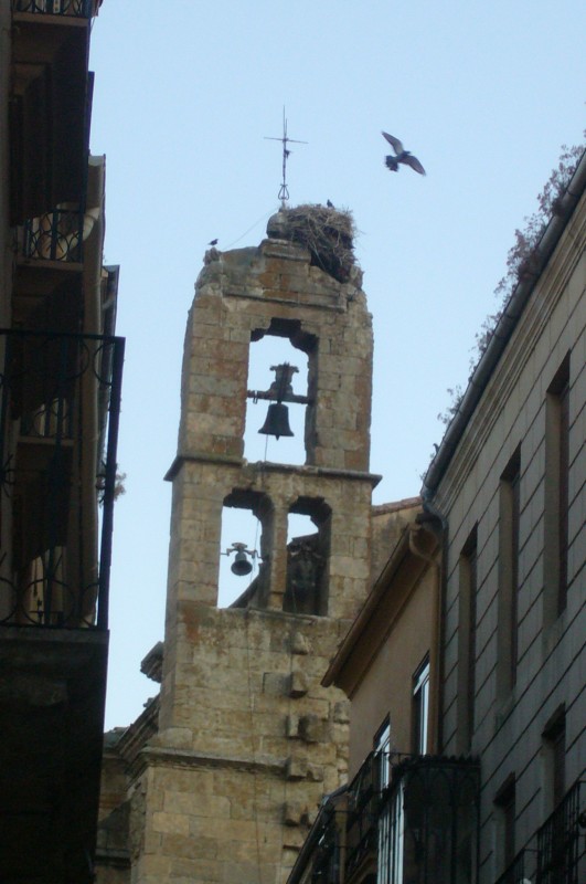 campanario iglesia san agustin