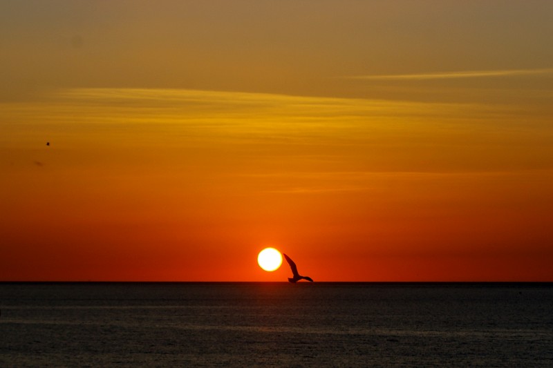 Junto al sol
