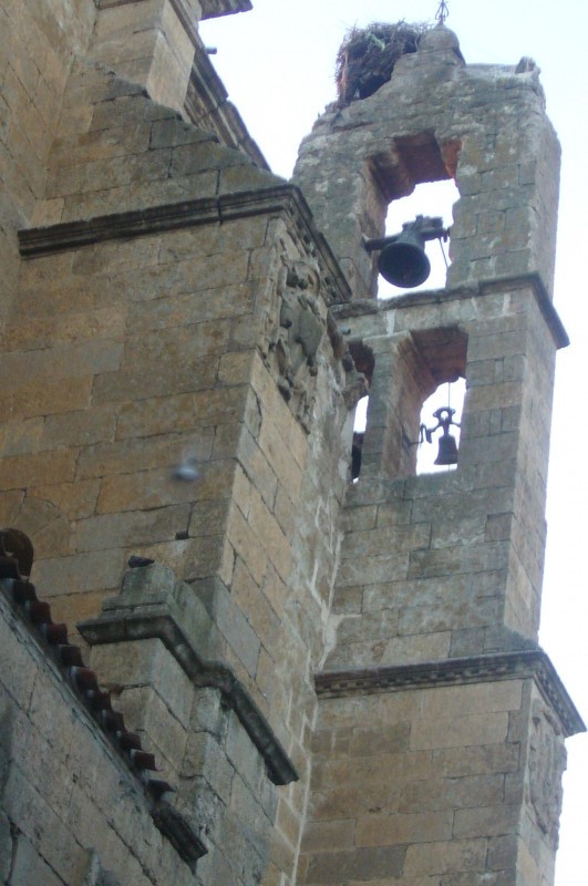 campanario con nido