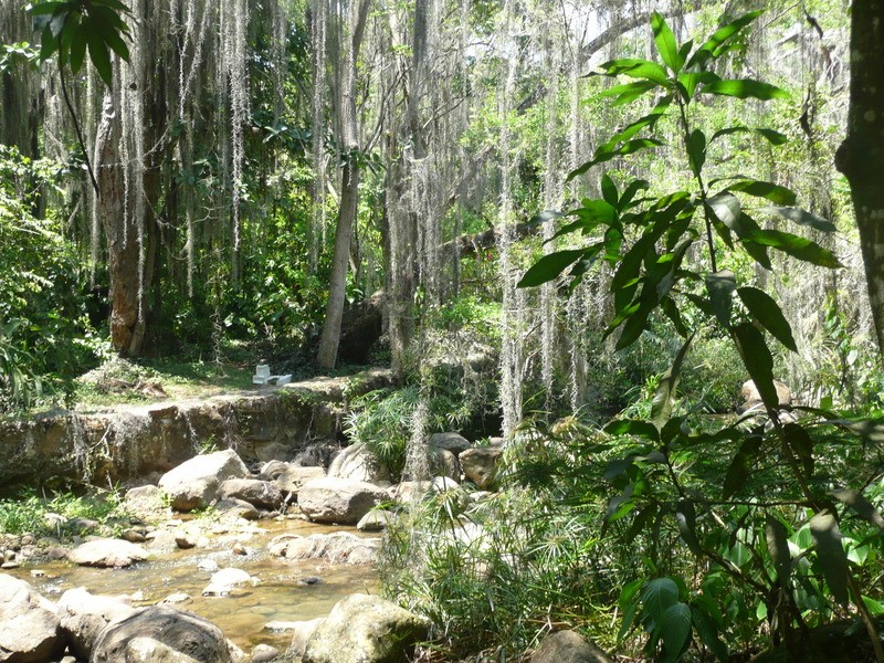 Verde y Agua