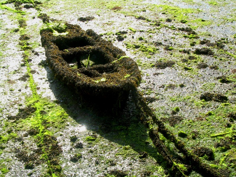 La vieja barca