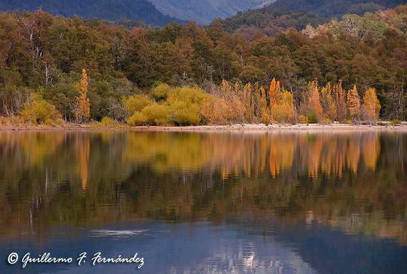 Reflejos de otoo