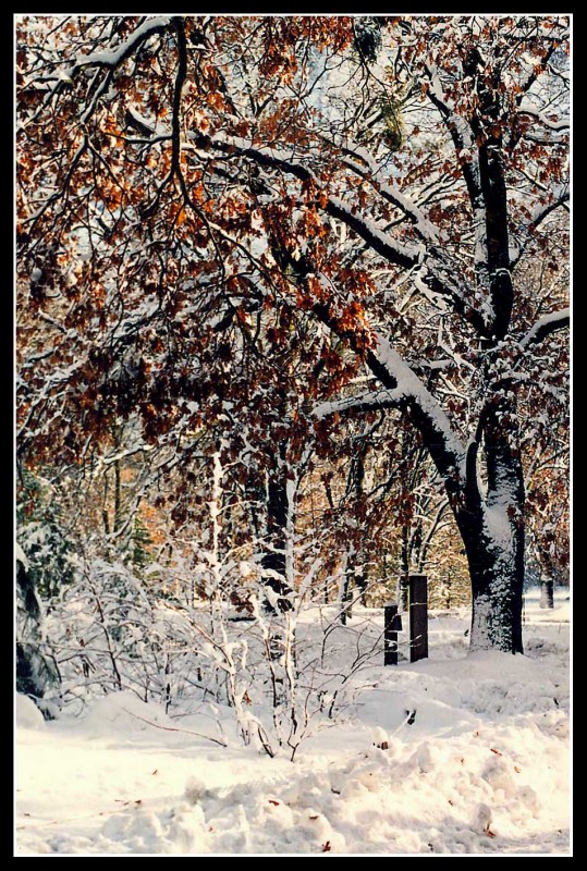 primeras nevadas