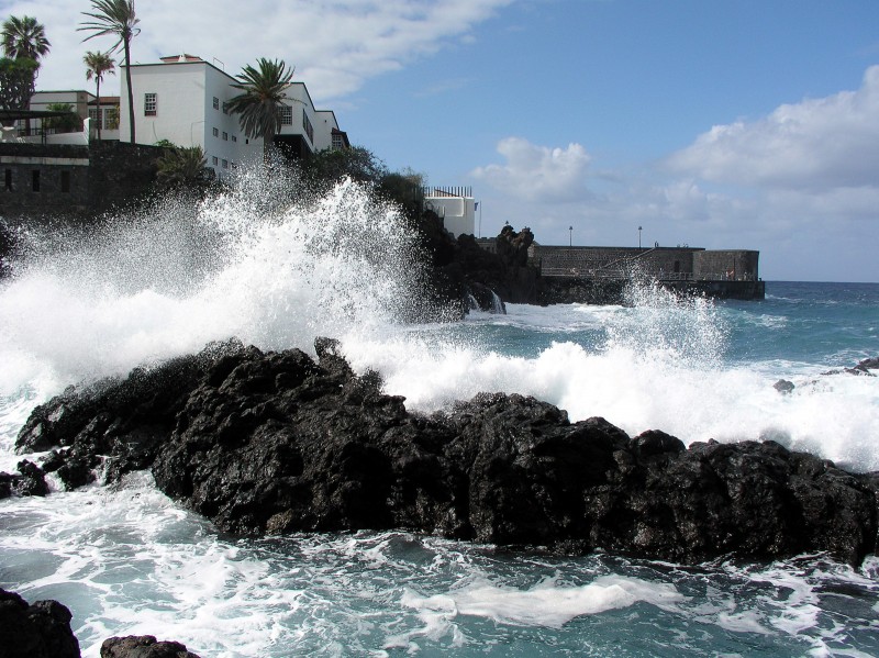 Olas 01