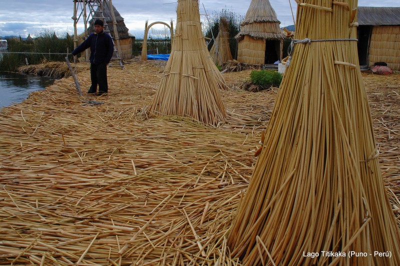 Uros