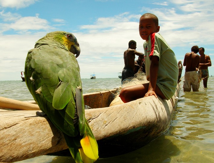 Sabios Pescadores