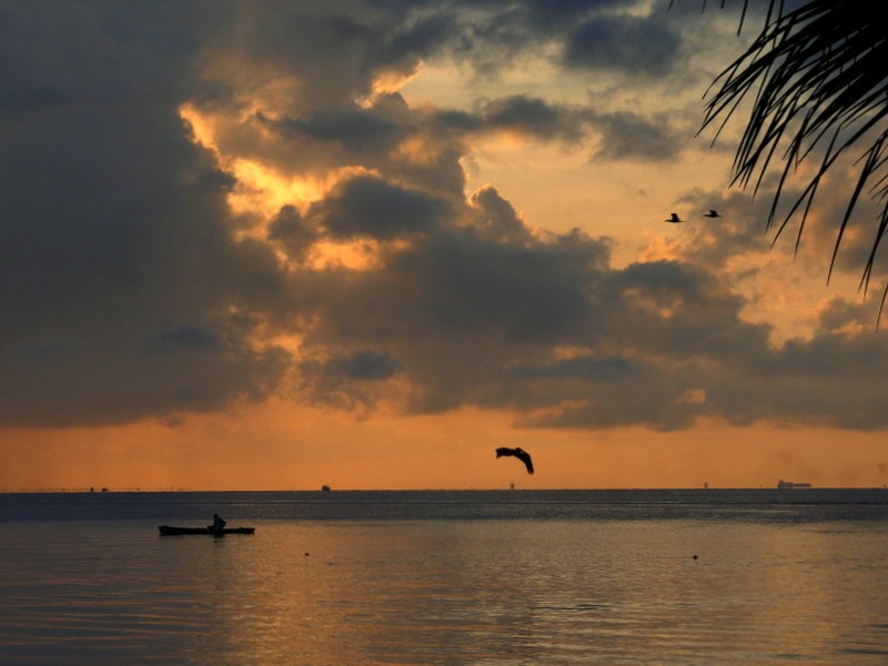 pesca al amanecer