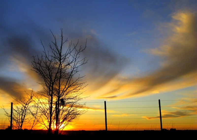 CIELO DE MAYO