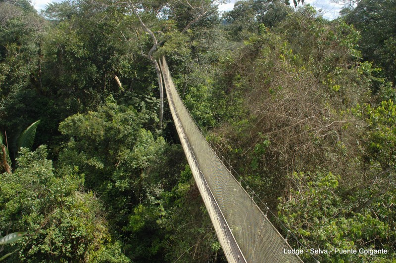 Puente colgante