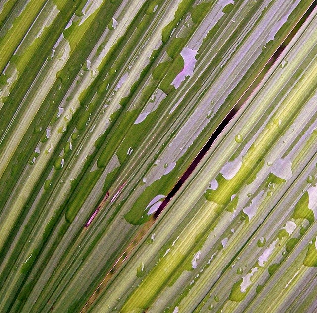 Hoja y gotas