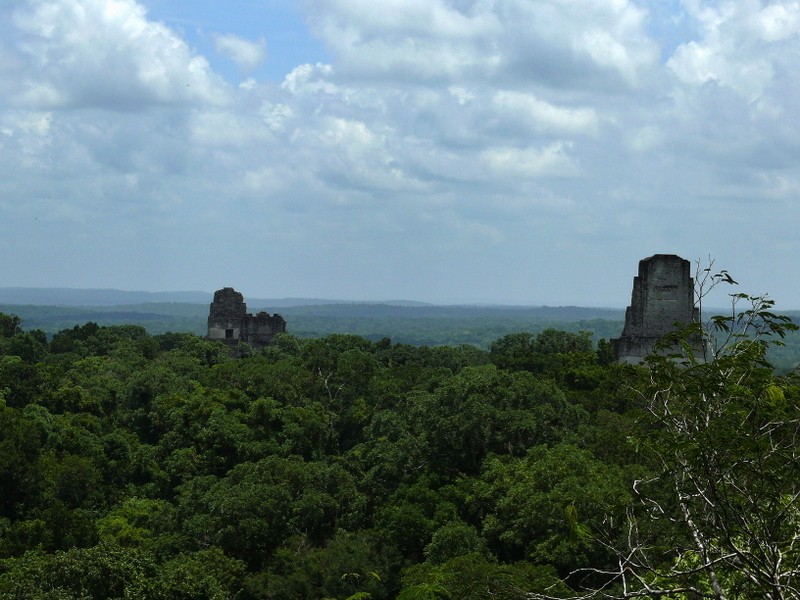 piramides en la selva