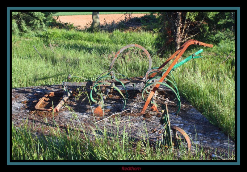 Restos de un antiguo cultivador agrcola