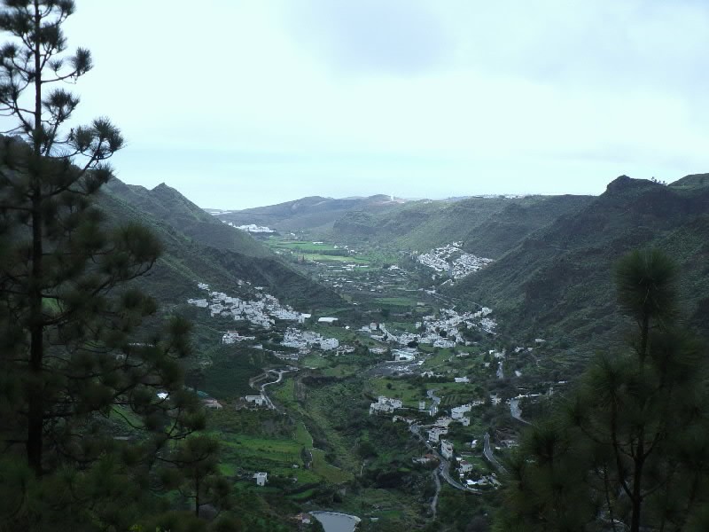 Vista