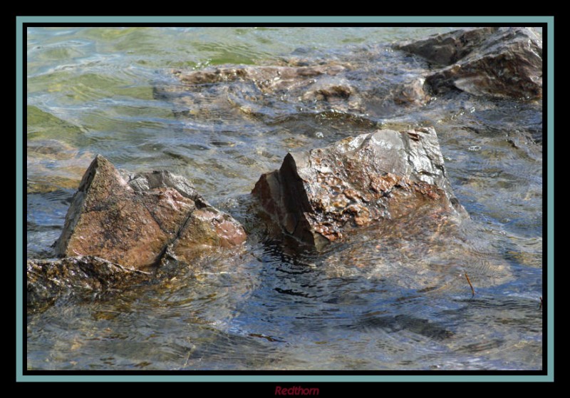 Orilla del pantano del Ebro