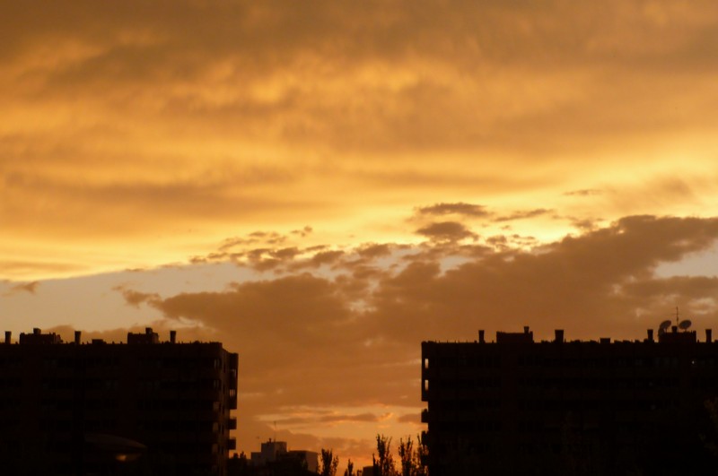 Tarde de lluvia