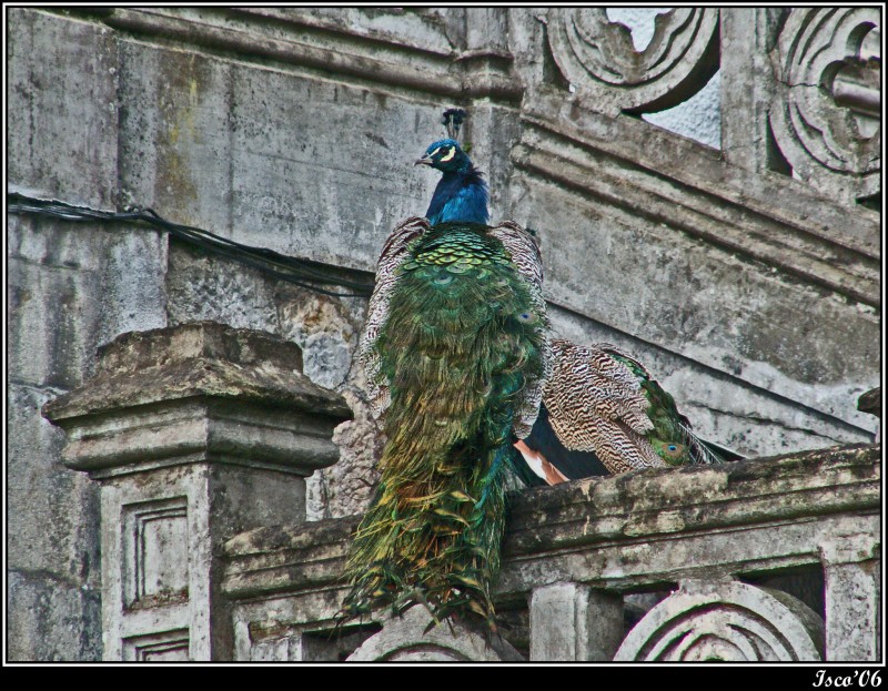 Color sobre fondo gris