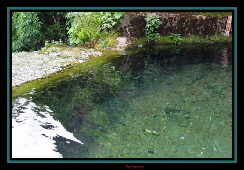 El arroyo de Orbaneja antes de precipitarse en cascada