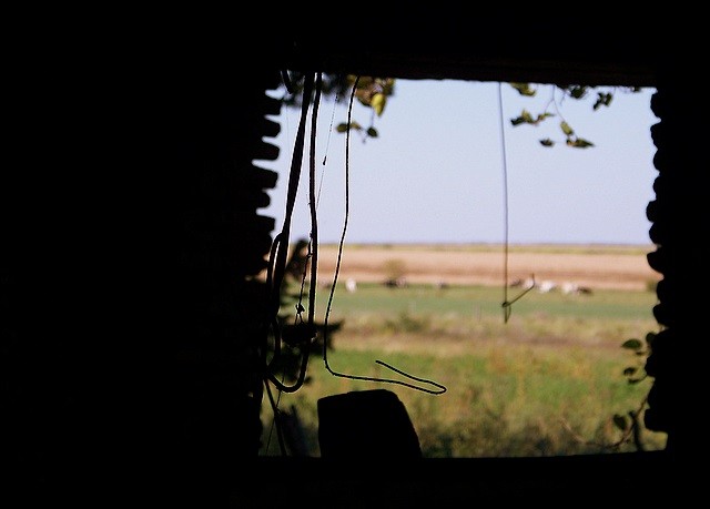 Espiando por la ventana