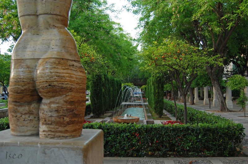 Mirando a la fuente