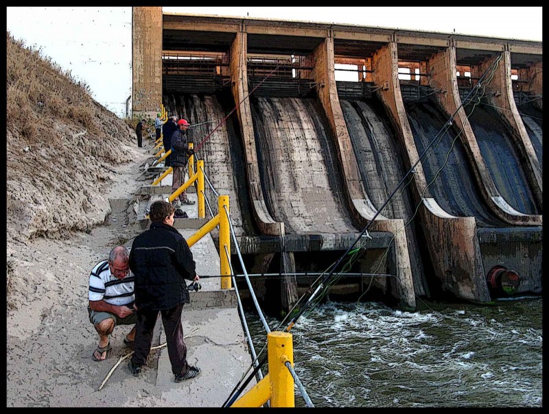 pescando en el dique