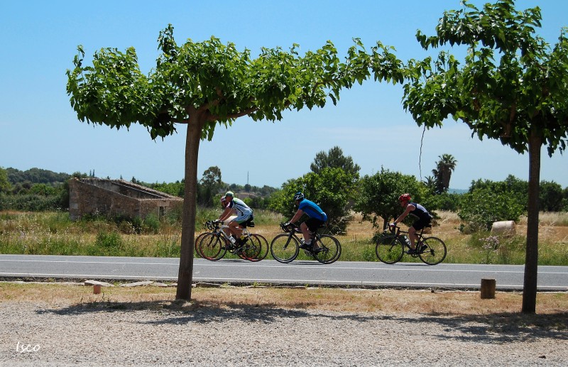 Ciclistas