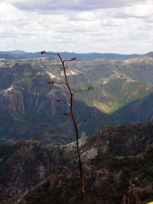 En la Cima