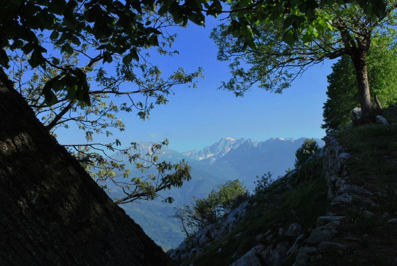 Subiendo a la ermita