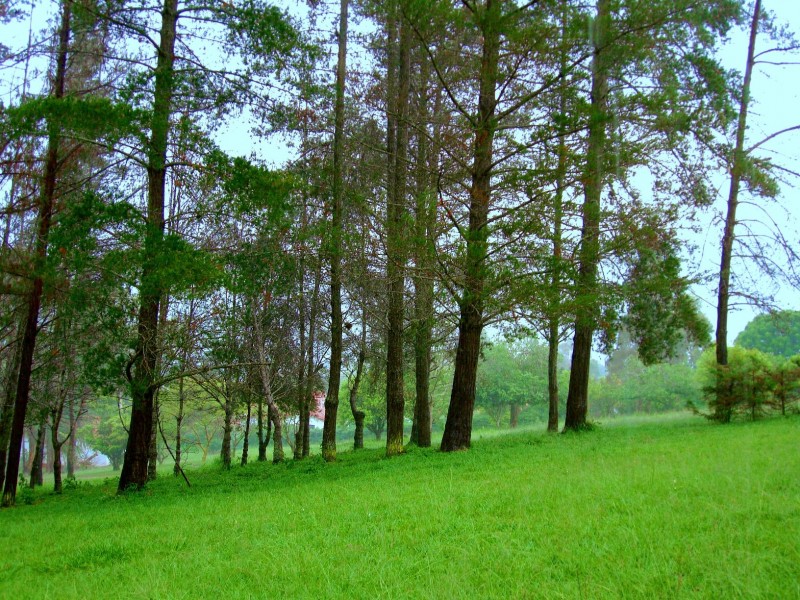 valle de Samaipata.