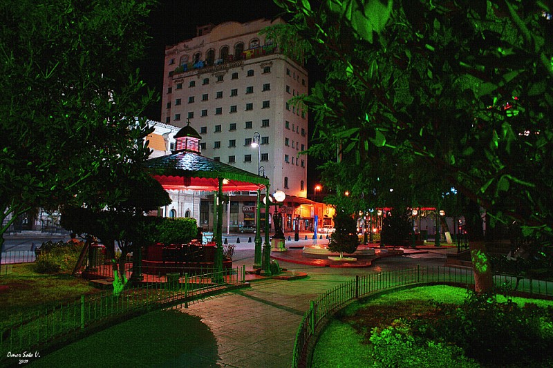 chihuahua de noche