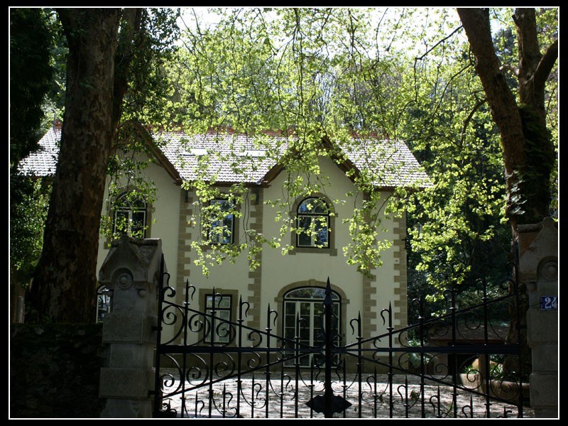 Casa en el bosque