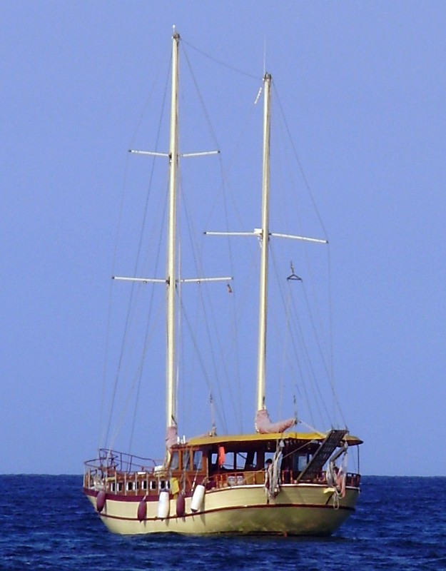 Velero Amarillo