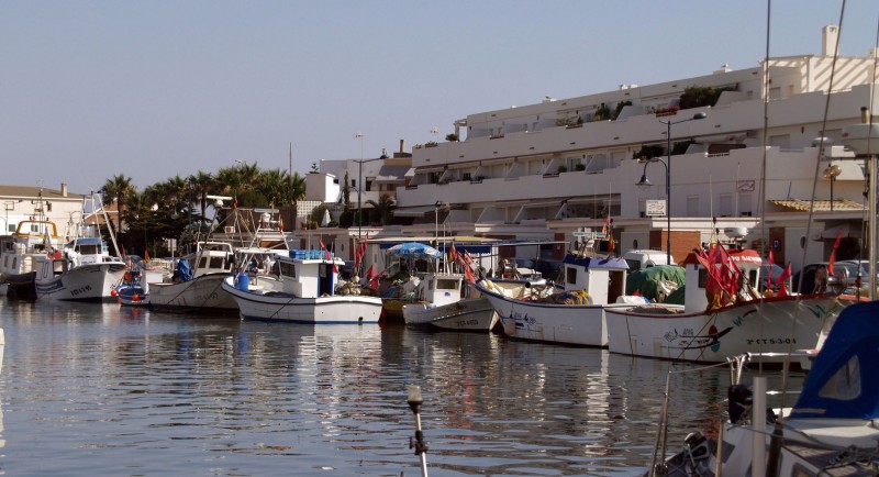 Pesqueros en mi puerto