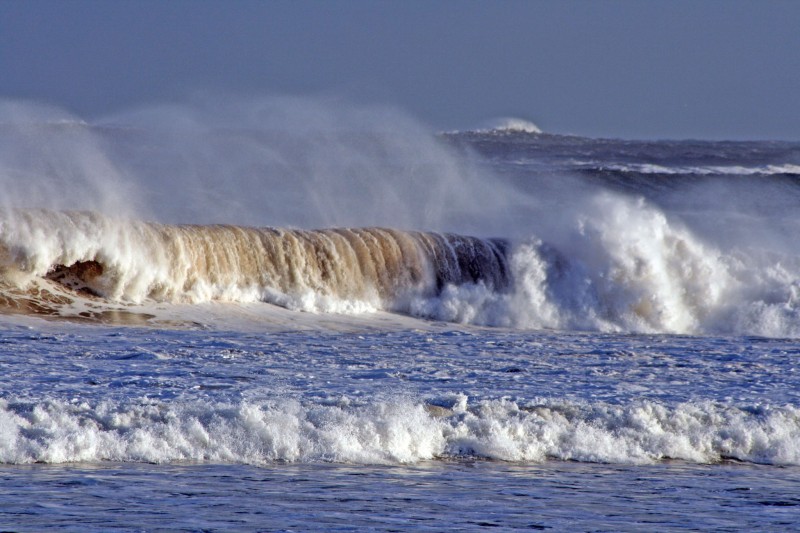 Olas