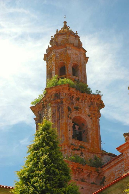 Los jardines de la cpula