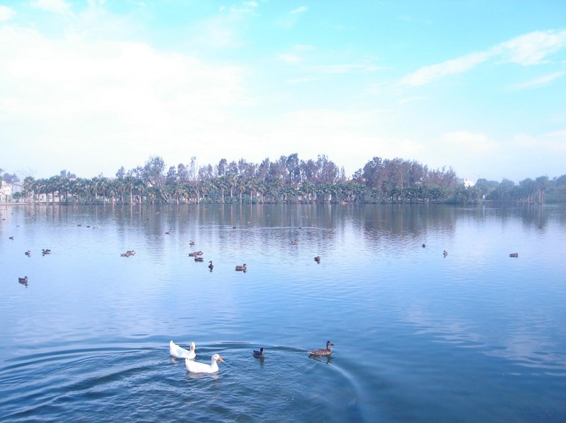 parque de la amistad