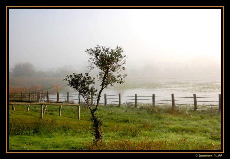 Delante de la niebla