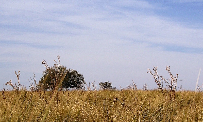 Invierno en el campo entrerriano