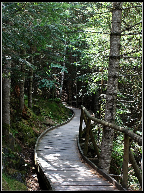 camino