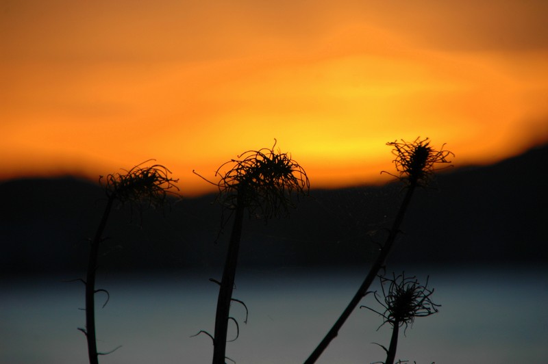 Fondo solar