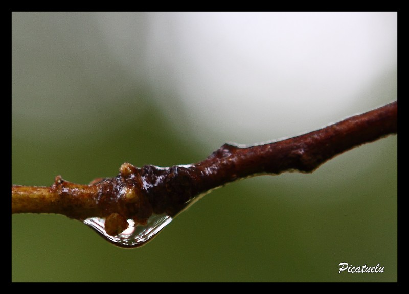 Una gota