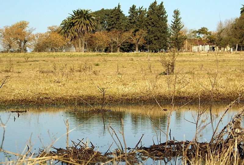 Rural, estacin invernal