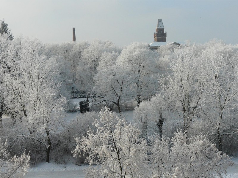 Cottbus en invierno