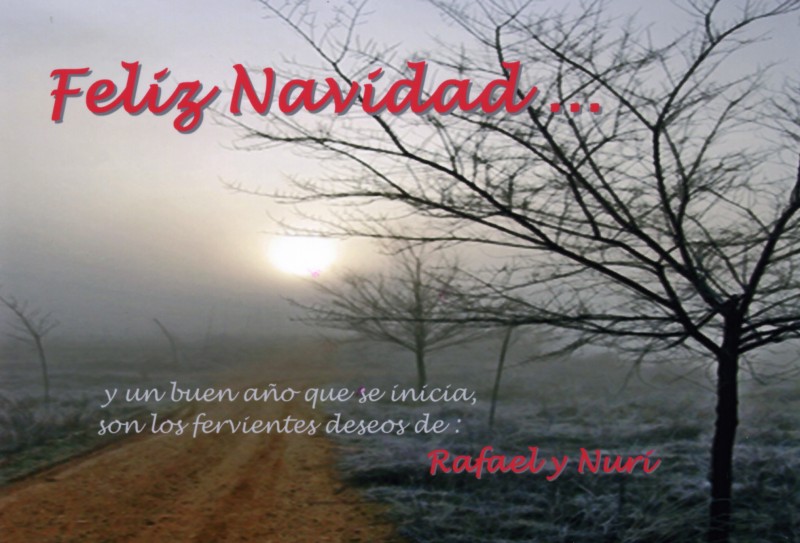 NAVIDAD