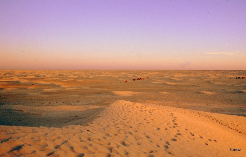 Un poco de Sahara