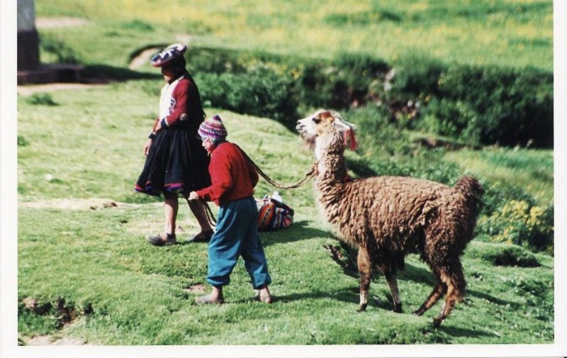 Camino a la ciudad