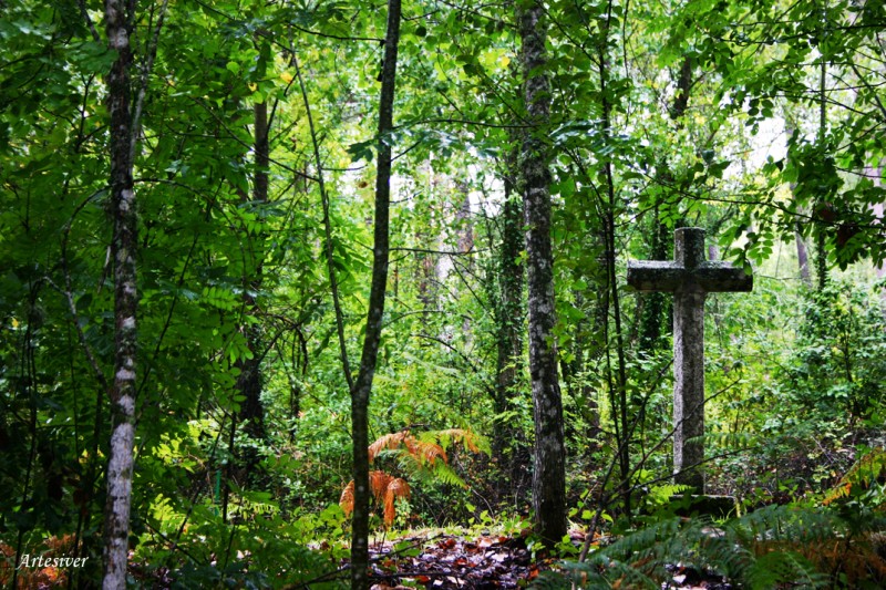 camino del santuario