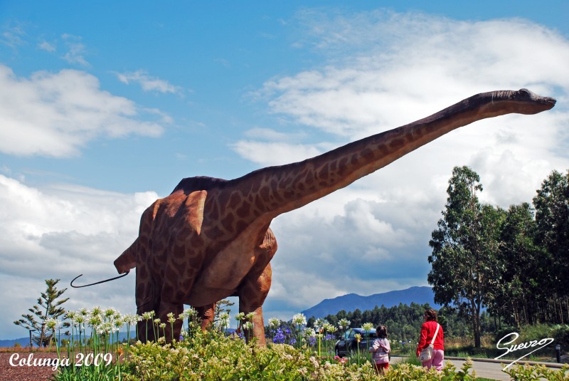 dinosaurio ( museo)