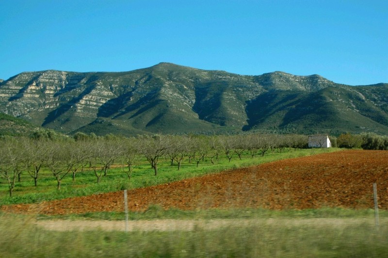 caseta blanca