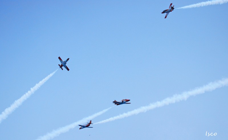 Patrulla guila VI